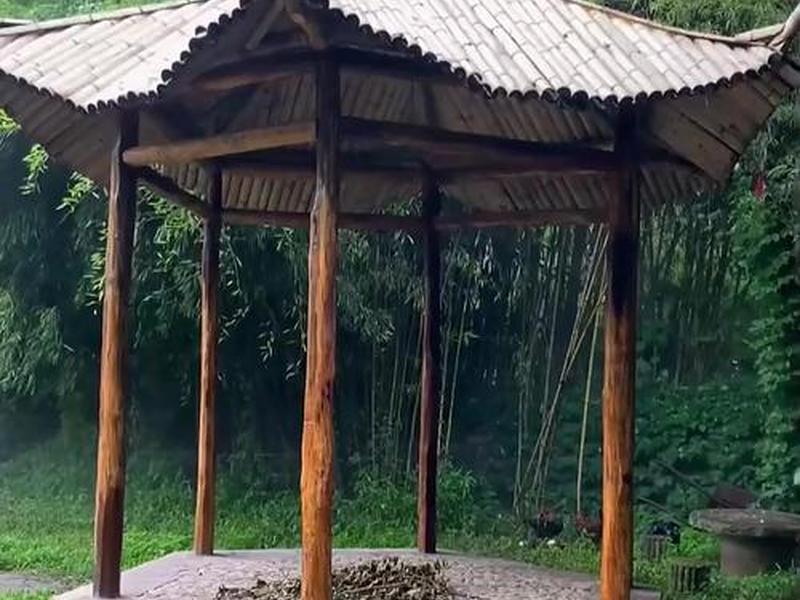 竹子搭建;竹子搭建的凉亭 竹子搭建;竹子搭建的凉亭