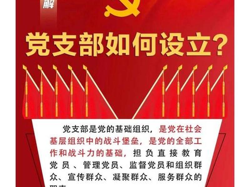 小微企业建立健全党组织 - 小微企业建立健全党组织生活制度