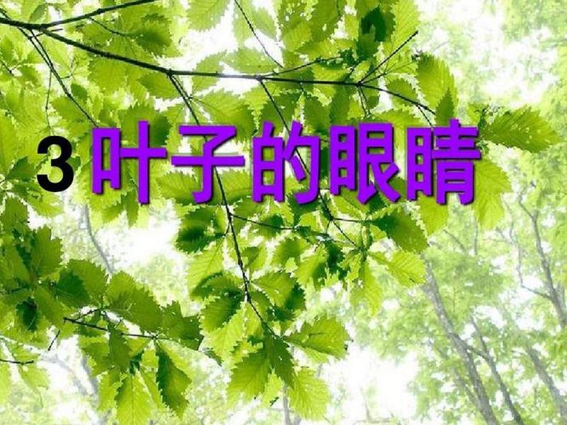 叶子建站教程(叶子科技app) 叶子建站教程(叶子科技app)