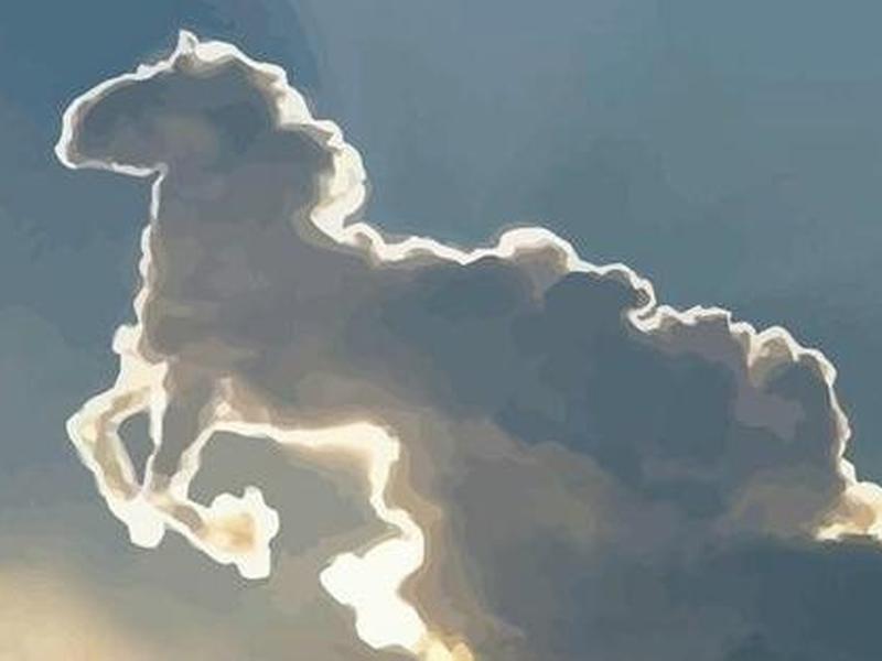 神马高清视频;神马oa 神马高清视频;神马oa