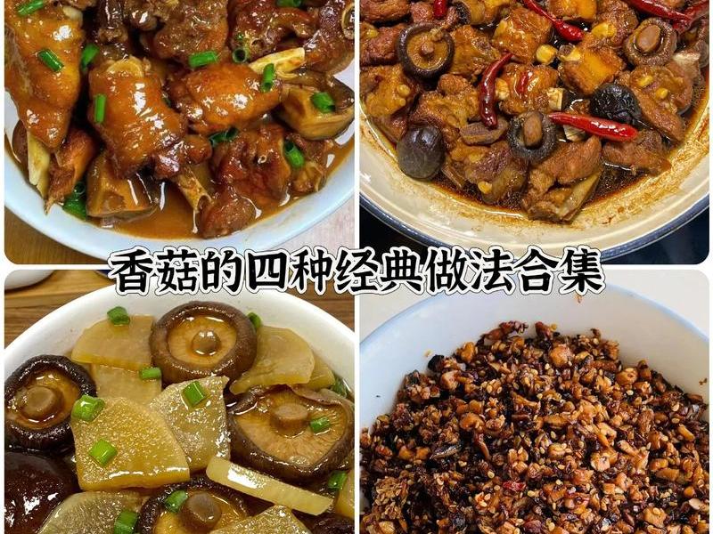 小蘑菇的做法视频、播放小蘑菇的做法 小蘑菇的做法视频、播放小蘑菇的做法