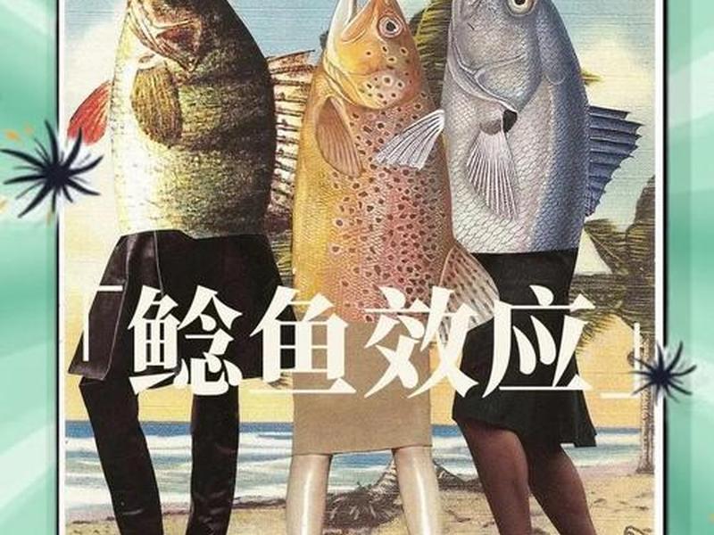 鲶鱼团队 鲶鱼战队 鲶鱼团队 鲶鱼战队