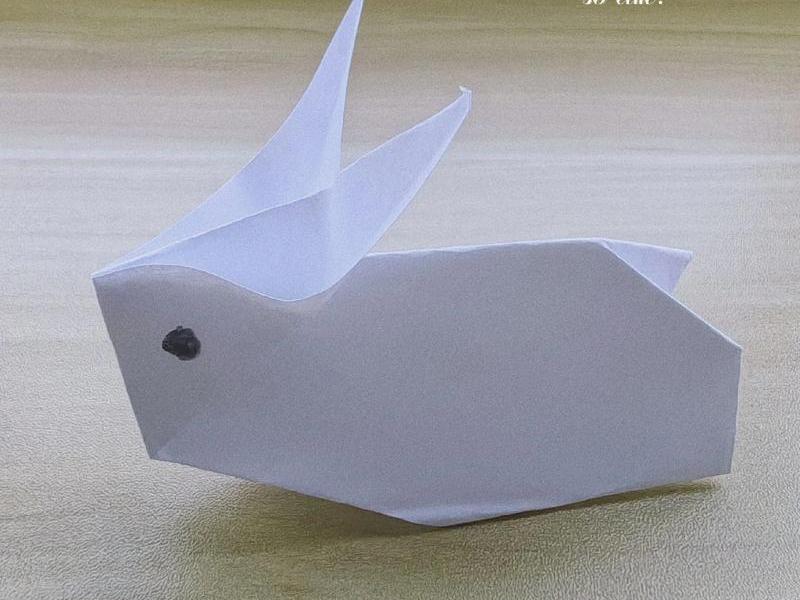 卯兔小制作(小兔子制作) 卯兔小制作(小兔子制作)