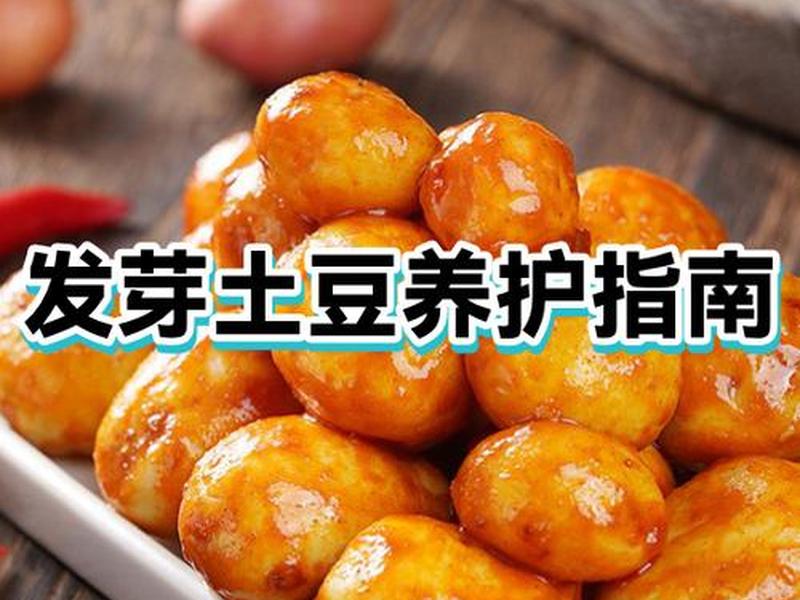 土培土豆视频教程;土培土豆视频教程全集 土培土豆视频教程;土培土豆视频教程全集