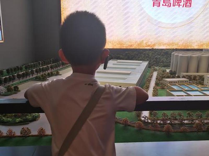 青岛独立站搭建教程、独立站如何搭建 青岛独立站搭建教程、独立站如何搭建