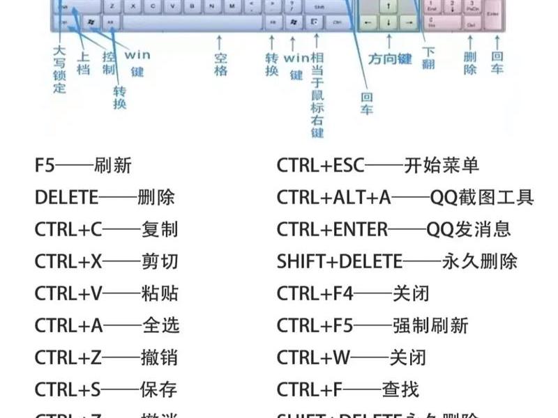零基础入门学电脑必看的知识(认识键盘)、新手学电脑基础知识初级入门教程全套,电脑键盘的使用 零基础入门学电脑必看的知识(认识键盘)、新手学电脑基础知识初级入门教程全套,电脑键盘的使用
