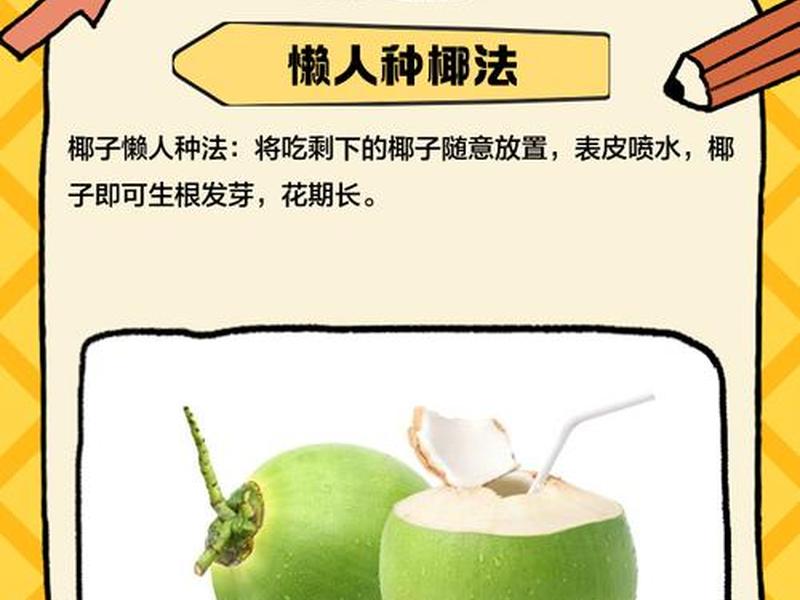 椰子果种植技巧 椰子果种植技巧图解 椰子果种植技巧 椰子果种植技巧图解
