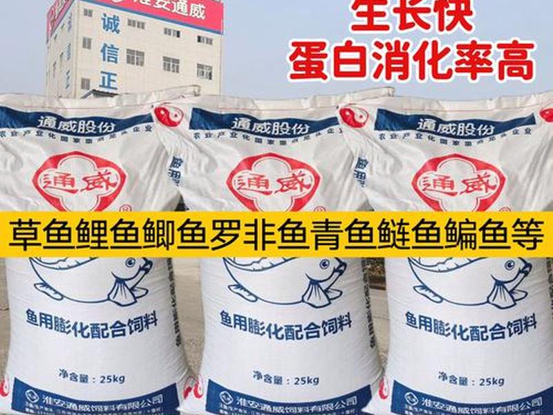 鱼总建站教程 鱼站搭建 鱼总建站教程 鱼站搭建