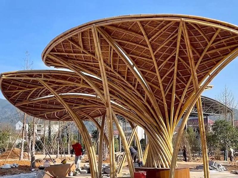 竹子搭建场所、竹子搭建场所有哪些 竹子搭建场所、竹子搭建场所有哪些