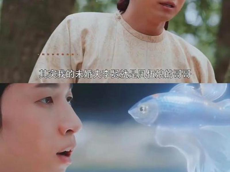 无忧哥是干啥呢(无忧哥哥是什么电视剧) 无忧哥是干啥呢(无忧哥哥是什么电视剧)