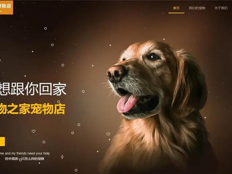 傻瓜式建站网站推荐一下，傻瓜式网站一键搭建