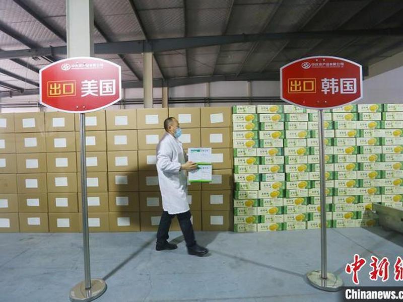 庆阳外贸网站（庆阳外贸网站首页）