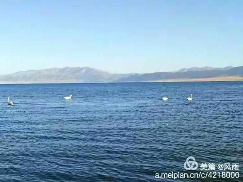 吐鲁番外贸网站哪家好、吐鲁番官方网站