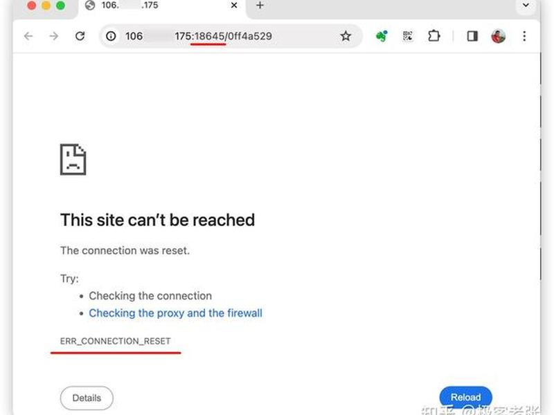 云服务器ecs支持安装虚拟化软件;云服务器ecs支持安装虚拟化软件吗 云服务器ecs支持安装虚拟化软件;云服务器ecs支持安装虚拟化软件吗