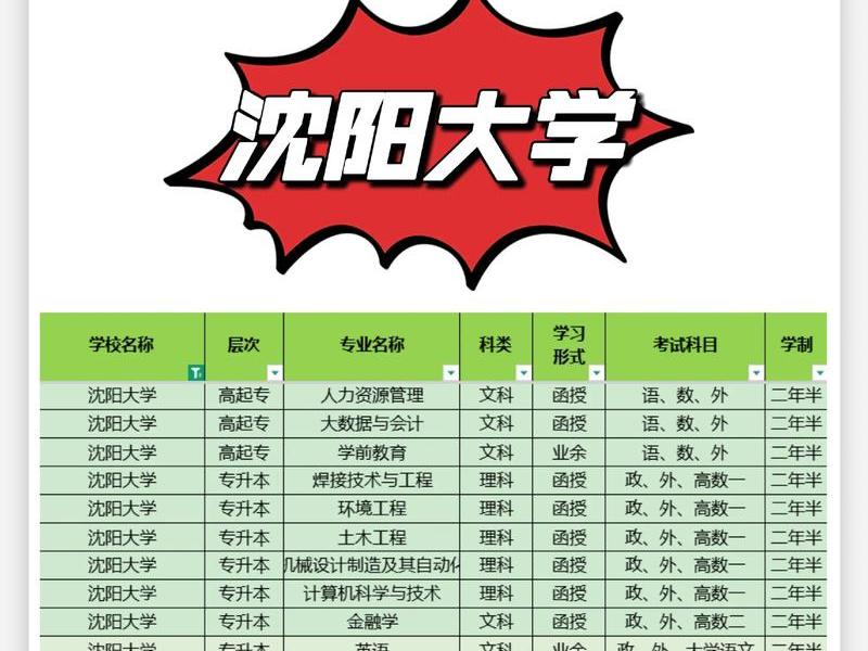 沈阳快速制作网站、沈阳网站专业制作 沈阳快速制作网站、沈阳网站专业制作