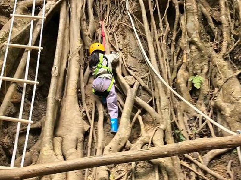 攀树建站教程,攀树系统搭建 攀树建站教程,攀树系统搭建