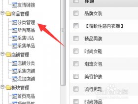 淘客建站组件教程视频讲解大全，淘客建站组件教程视频讲解大全下载