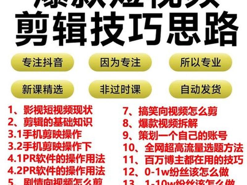 视频自媒体运营教程 视频自媒体运营教程电子版 视频自媒体运营教程 视频自媒体运营教程电子版