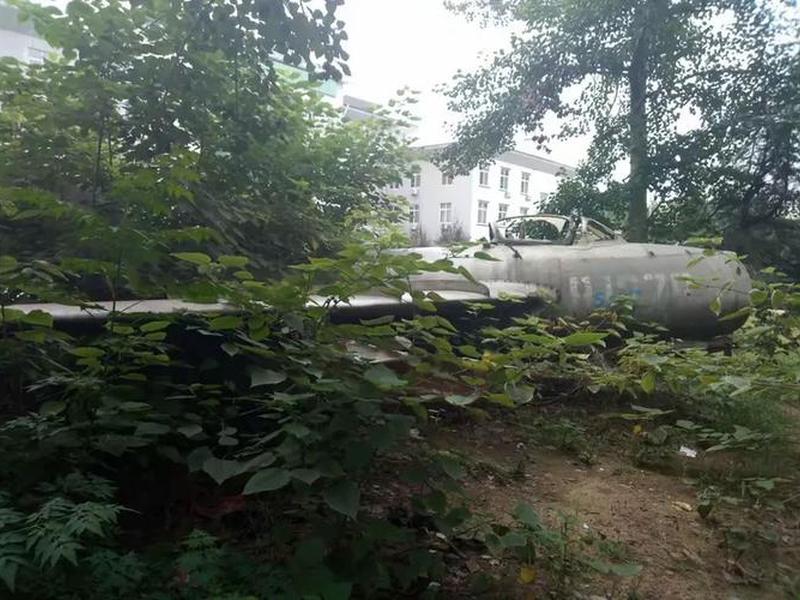 淄川要建飞机场吗（淄川要建飞机场吗最新消息）