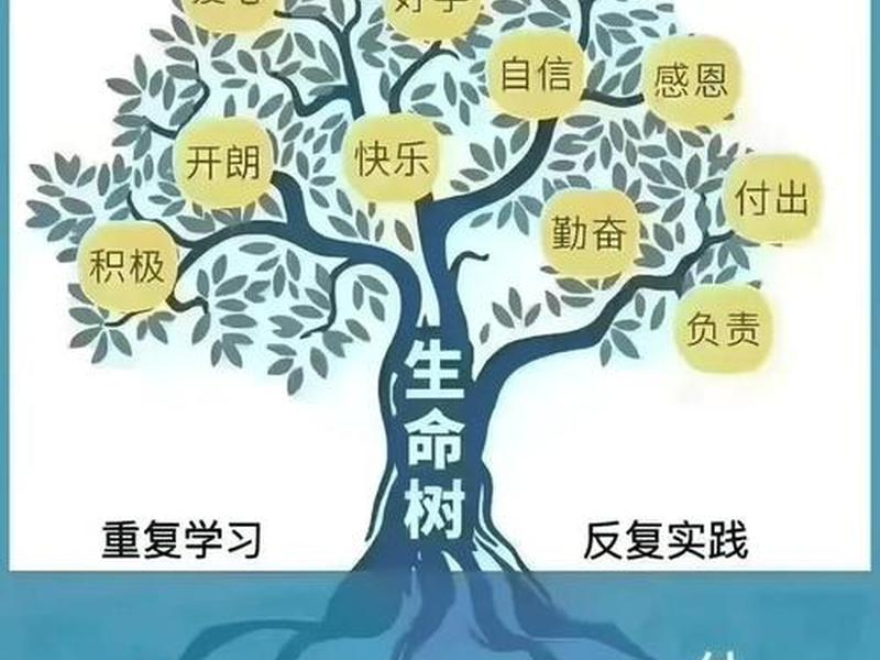 四步培养法 四步培养法助力亲子与社交 四步培养法 四步培养法助力亲子与社交