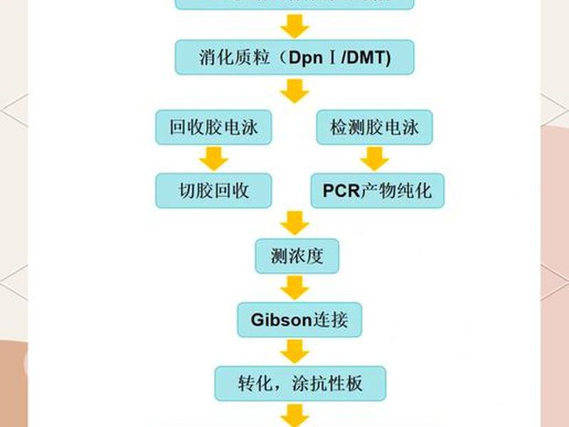 克隆网站,克隆网站是如何运作的 克隆网站,克隆网站是如何运作的