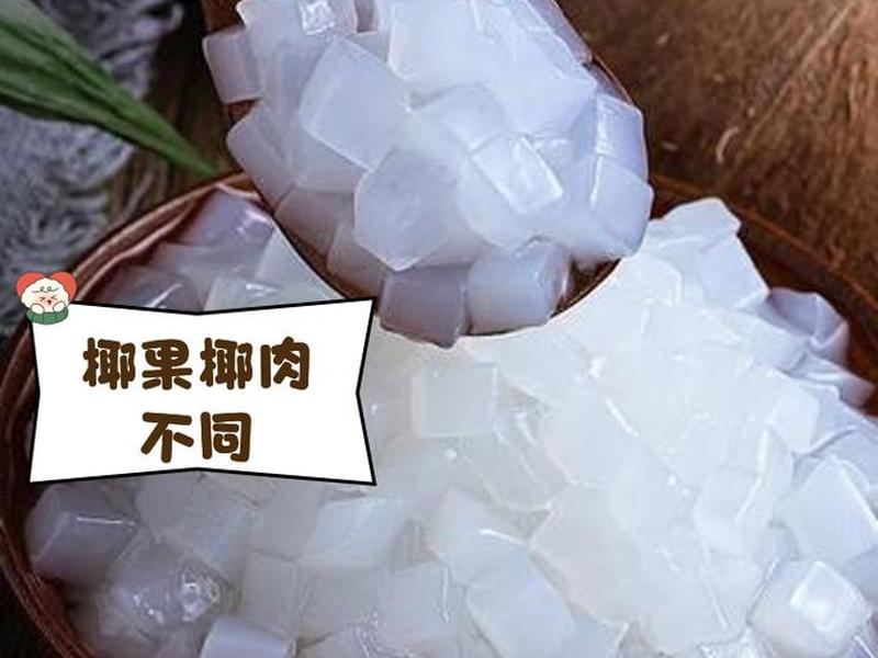 椰果种植条件(椰果种植条件是什么) 椰果种植条件(椰果种植条件是什么)