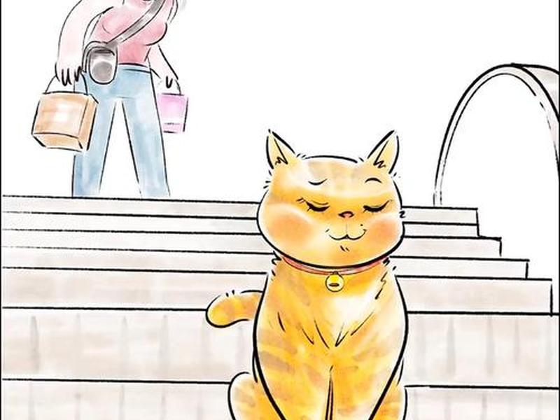 稳猫;稳当猫 稳猫;稳当猫