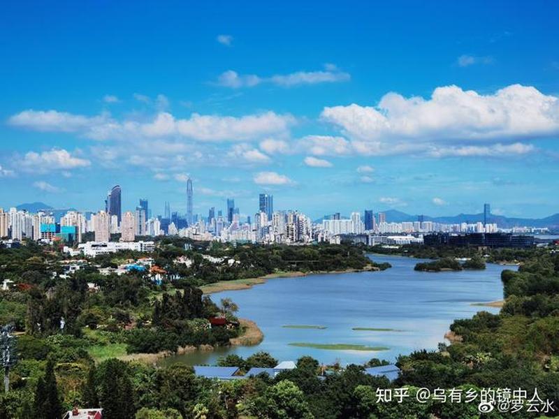 深圳定制巴士怎么预约、深圳定制巴士2319怎么预约 深圳定制巴士怎么预约、深圳定制巴士2319怎么预约