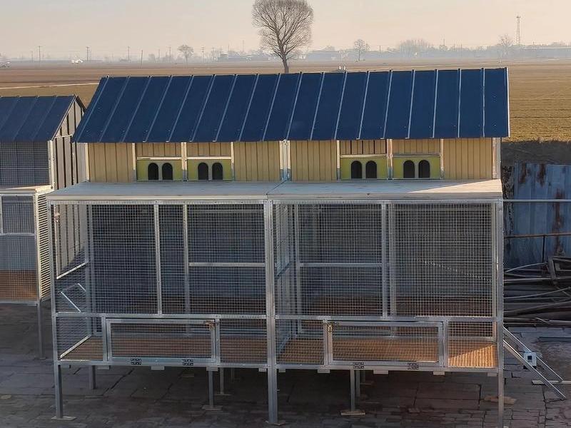 赛鸽棚怎么建 - 赛鸽棚怎么建好看 赛鸽棚怎么建 - 赛鸽棚怎么建好看