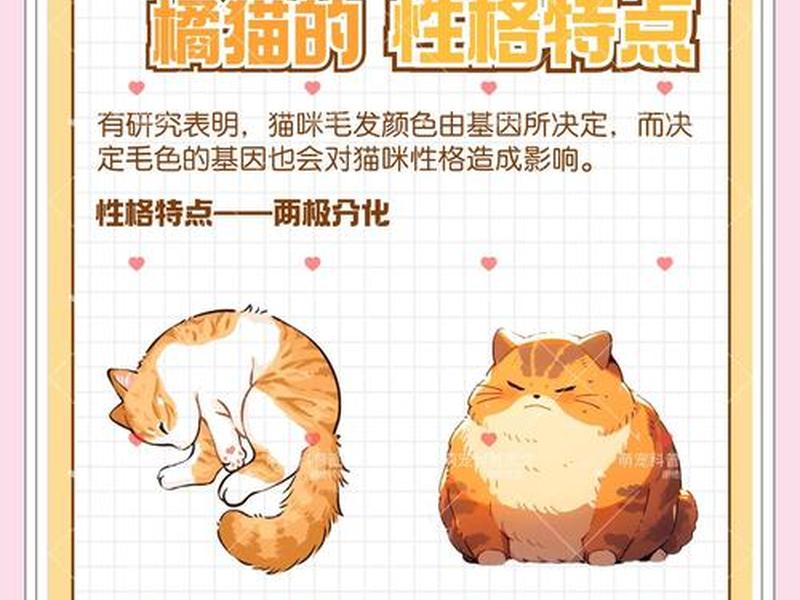 皮皮喵怎么添加来源(皮皮喵怎么添加漫源) 皮皮喵怎么添加来源(皮皮喵怎么添加漫源)