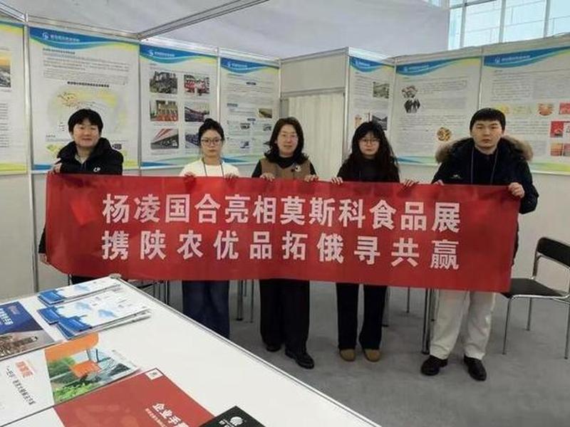 陕西外贸建设集团 - 陕西外贸建设集团是国企吗 陕西外贸建设集团 - 陕西外贸建设集团是国企吗