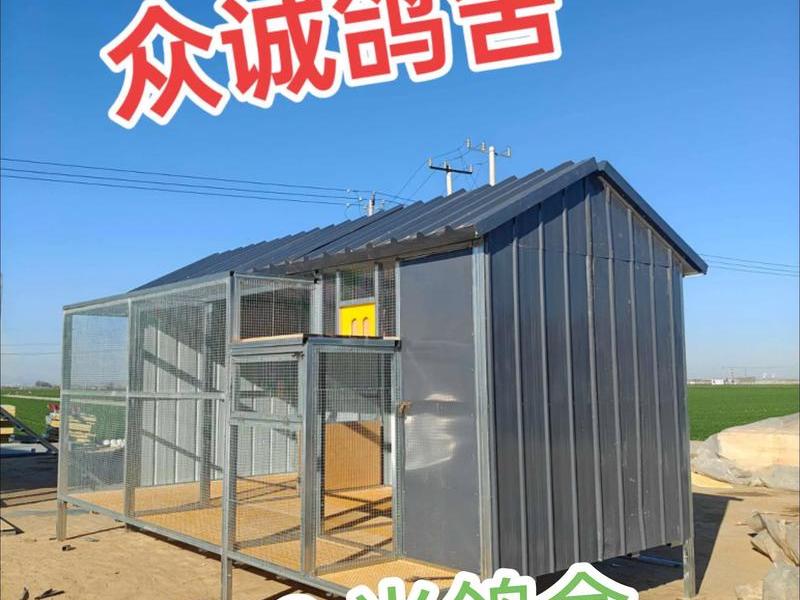 怎样搭建鸽棚视频(怎样搭建鸽棚视频教程) 怎样搭建鸽棚视频(怎样搭建鸽棚视频教程)
