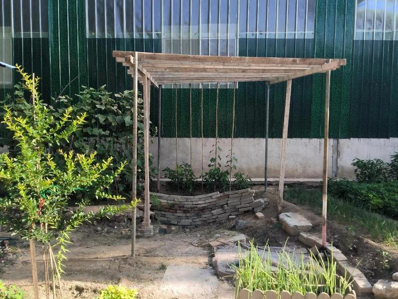 怎么搭建vp;怎么搭建葡萄架 怎么搭建vp;怎么搭建葡萄架