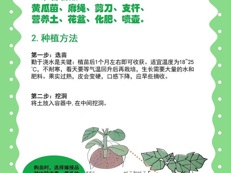 傻瓜式种植教程 傻瓜的种田方式 傻瓜式种植教程 傻瓜的种田方式
