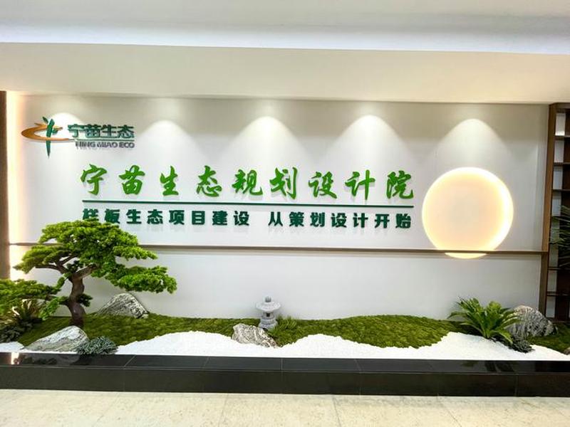 宁夏网站建设系统、宁夏网站建设公司