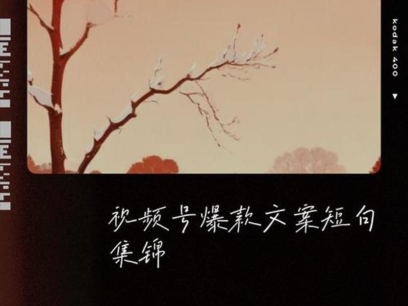 热门视频文案素材、上热门的短视频文案素材 热门视频文案素材、上热门的短视频文案素材