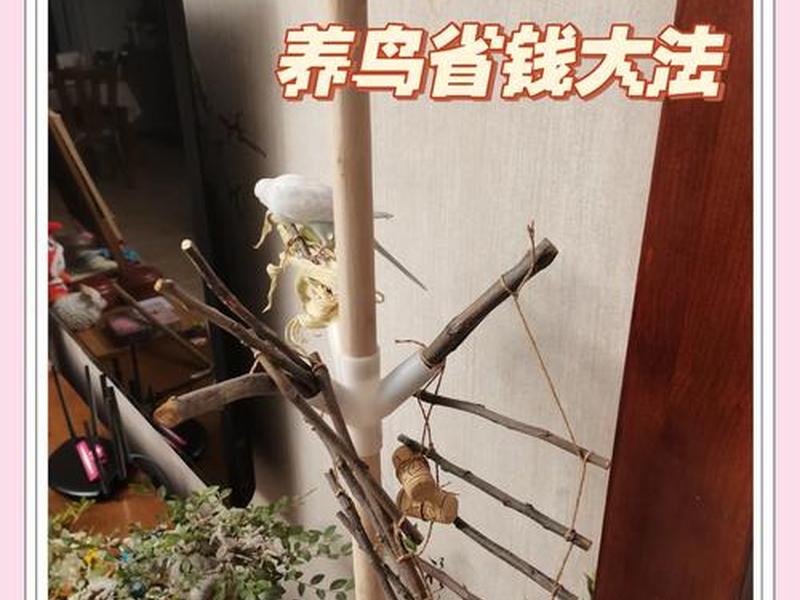 筷子搭建站架视频教程下载免费,筷子搭建站架视频教程下载免费版 筷子搭建站架视频教程下载免费,筷子搭建站架视频教程下载免费版