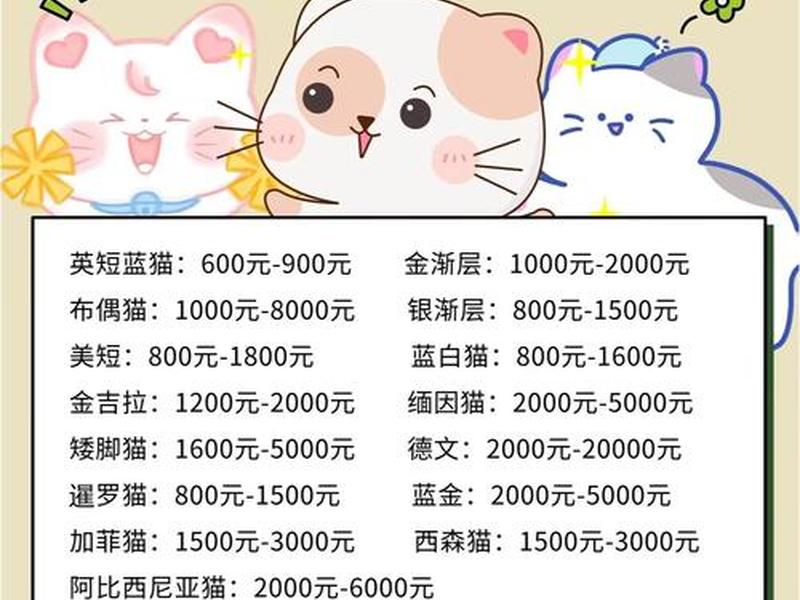 稳当猫寄卖行服务项目(稳当猫寄卖行盈利模式) 稳当猫寄卖行服务项目(稳当猫寄卖行盈利模式)