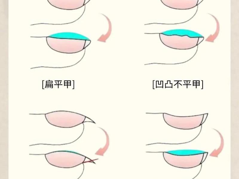 美甲建构视频教程；美甲建构视频教程完整版