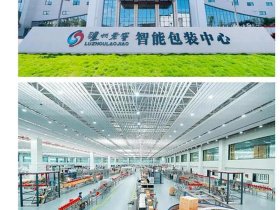 上海迅梦科技有限公司 - 上海迅梦科技有限公司怎么样