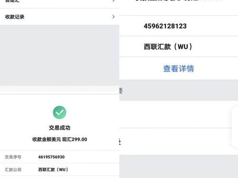 外贸自建站怎么收款 外贸自建站怎么做 外贸自建站怎么收款 外贸自建站怎么做