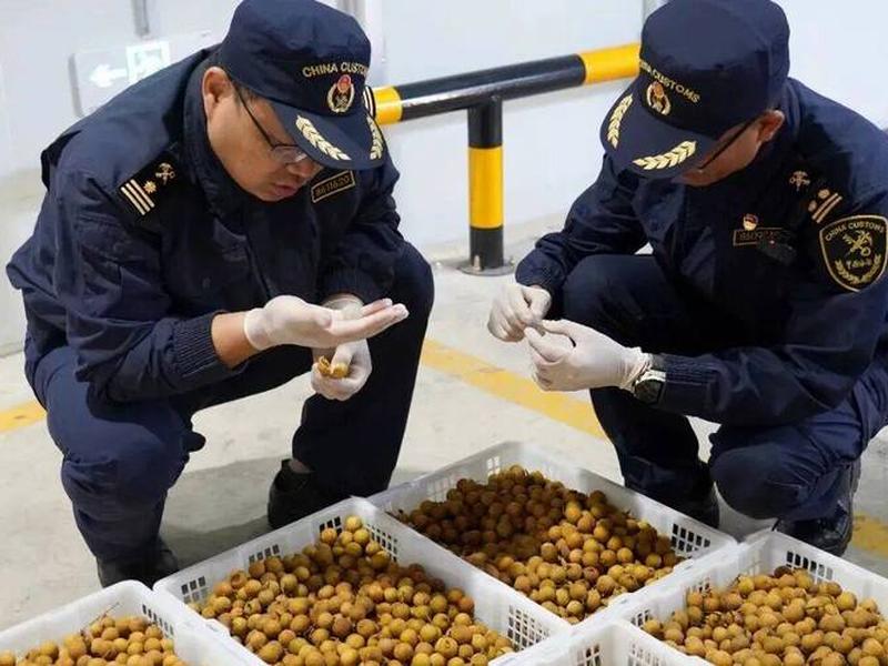 云南 外贸 云南 外贸 问题 云南 外贸 云南 外贸 问题
