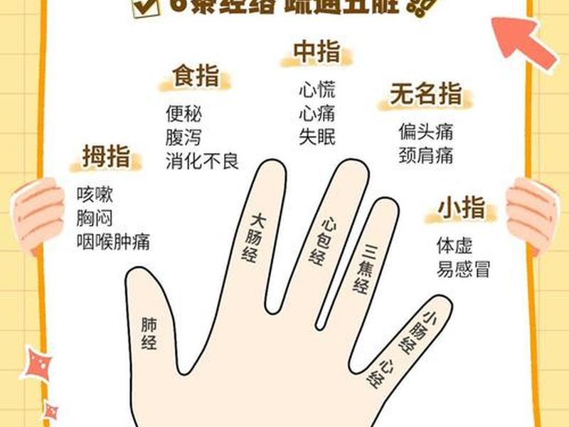 五指系统,五指操作什么意思 五指系统,五指操作什么意思