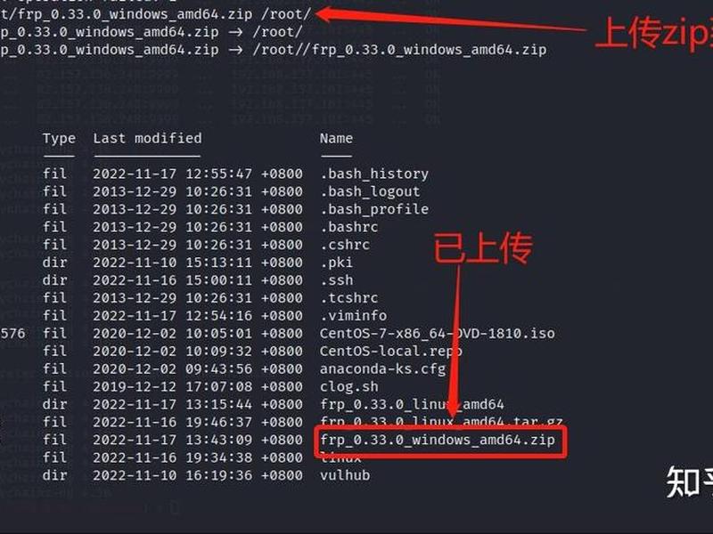 樱花内网穿透官网下载 - 樱花frp内网穿透官网 樱花内网穿透官网下载 - 樱花frp内网穿透官网