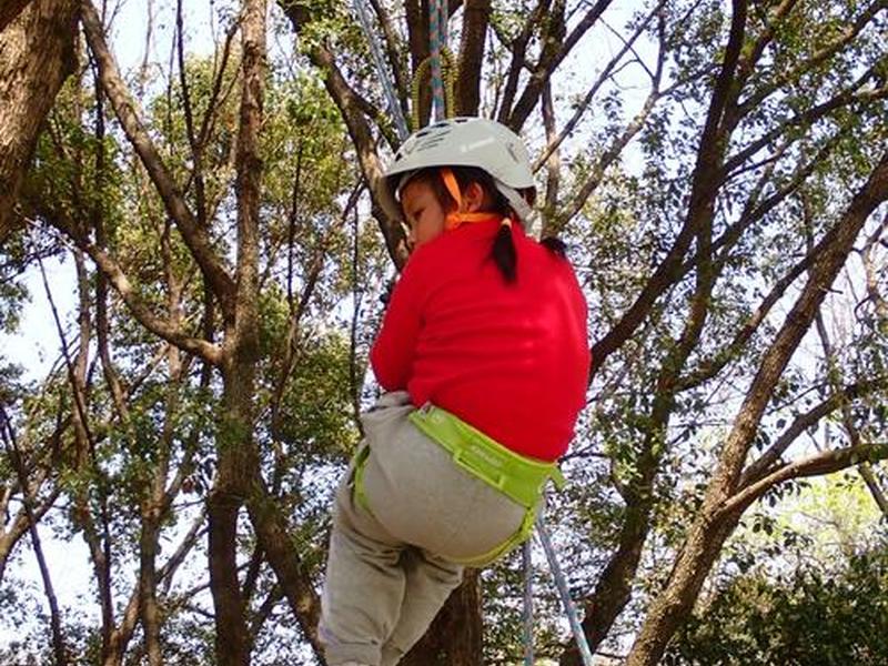 攀树建站流程;攀树教程 攀树建站流程;攀树教程