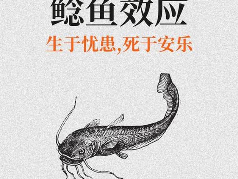 鲶鱼团队 鲶鱼战队 鲶鱼团队 鲶鱼战队