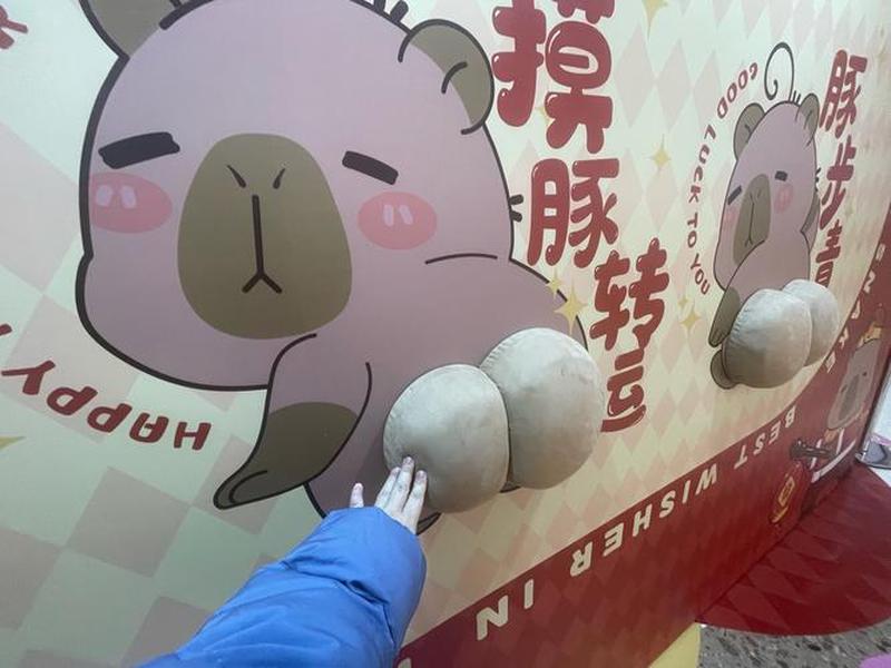 皮皮喵贴吧(皮皮喵百度贴吧) 皮皮喵贴吧(皮皮喵百度贴吧)