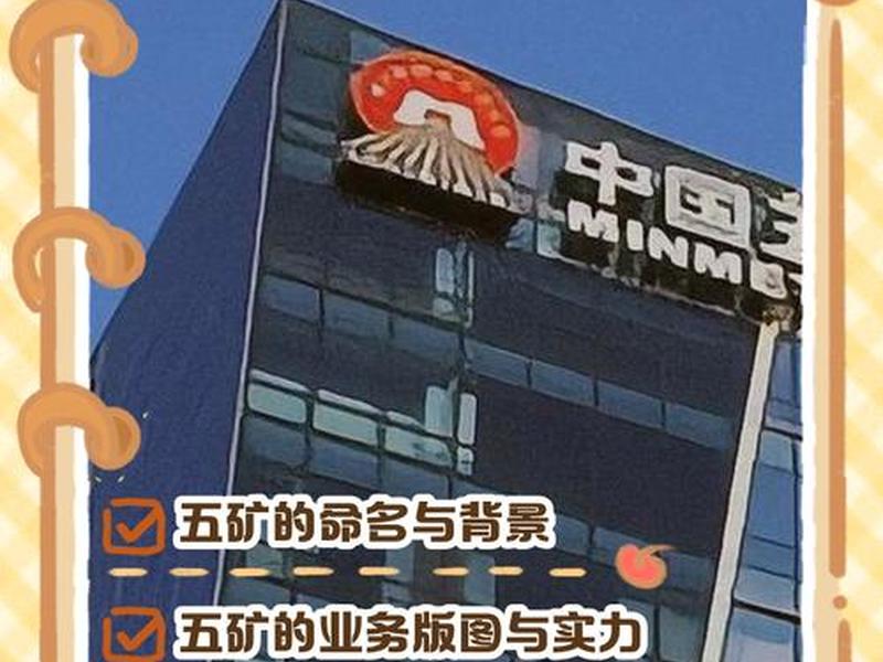五指一站式建站概况、五指集团 概况 五指一站式建站概况、五指集团 概况