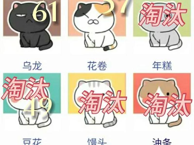 皮皮喵源站怎么填,皮皮喵app怎么获取来源 皮皮喵源站怎么填,皮皮喵app怎么获取来源