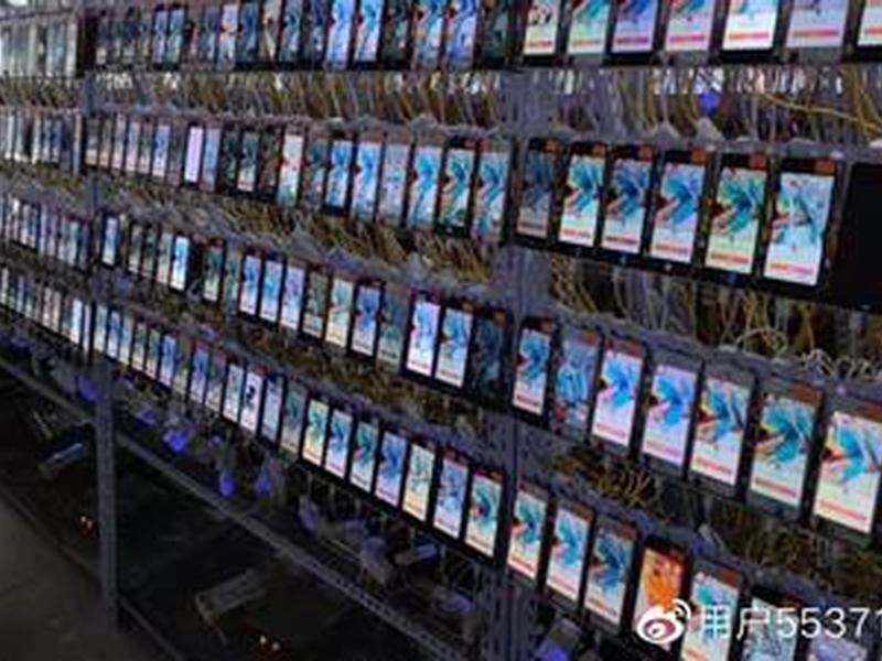轻松易播搭建教程、轻松易播搭建教程下载 轻松易播搭建教程、轻松易播搭建教程下载